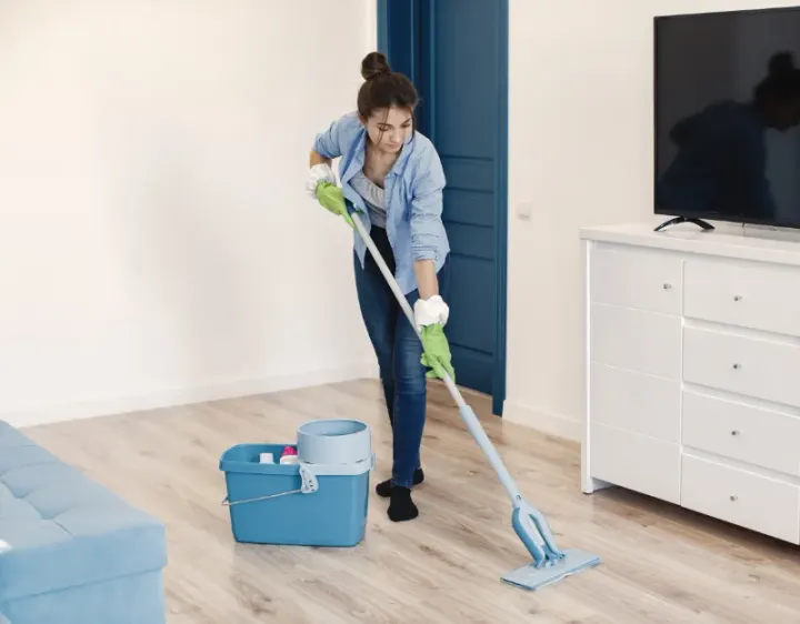 Femme de ménage Houlle